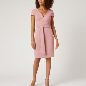 Dress the Population “Dana” Shirred Waist Dress in Light Mauve Size Medium NWT